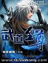《武道至尊》全本小说下载
