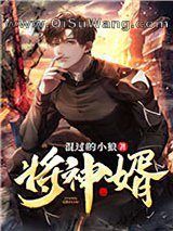 《将神婿》全本TXT下载-作者：混过的小狼