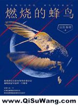 《燃烧的蜂鸟》全本TXT下载-作者：法医秦明