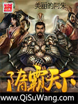 隋霸天下小说