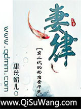 妻律小说