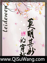 《莫明其妙的穿越》全本TXT下载-作者：leidewen