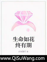《冷面总裁与俏丽女总监》全本TXT下载-作者：紫萱萋萋