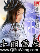大明重生小说