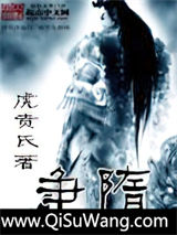 争隋小说