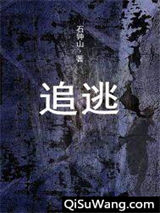 追逃图片