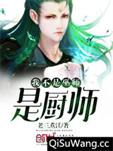 我不是巫师是厨师图片