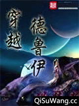 《穿越德鲁伊》全本TXT下载-作者：说梦者