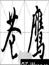 苍鹰1残余的光明图片