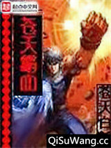 《苍天霸血》全本TXT下载-作者：苍天白鹤