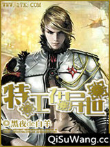 特工在异世图片