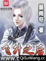 《飞升之后》全本TXT下载-作者：皇甫奇