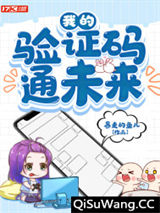 《我的验证码通未来》全本TXT下载-作者：暴走的鱼儿
