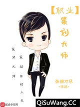 《职业策划大师》全本TXT下载-作者：张琅才尽