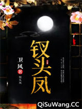 《钗头凤》全本TXT下载-作者：卫风