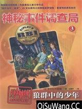 狼群中的少年图片