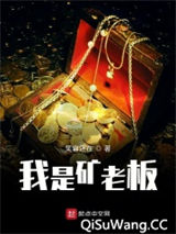 我是矿老板图片
