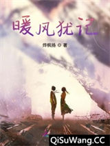 《暖风犹记》全本TXT下载-作者：烨枫扬