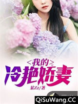 我的冷艳娇妻图片