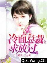 《冷面总裁求放过》全本TXT下载-作者：蝶梦三生