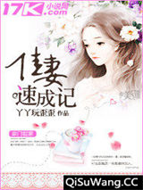 佳妻速成记图片