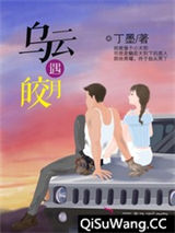 《乌云遇皎月》全本TXT下载-作者：丁墨