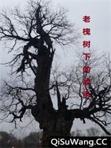 老槐树下的故事图片