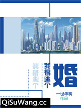 我得逃个婚图片