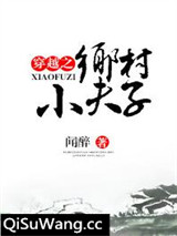 穿越之乡村小夫子图片