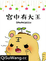 《宫中有大王》全本TXT下载-作者：今夜来采菊