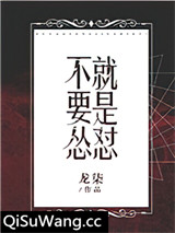 《不要怂，就是怼》全本TXT下载-作者：龙柒