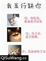 《我五行缺你》全本TXT下载-作者：西子绪