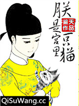朕是宫里一只喵图片