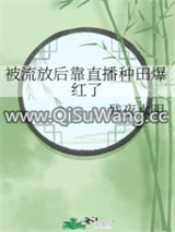 被流放后靠直播种田爆红了图片