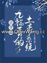 清穿之九福晋的土豪系统图片