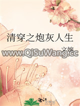 清穿之炮灰人生图片