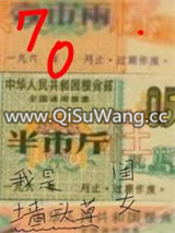 我是墙头草的闺女[七零]图片