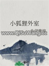 小狐狸外室图片