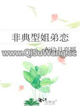 非典型姐弟恋图片