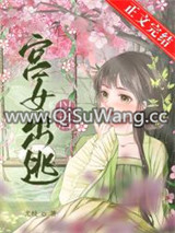 宫女出逃以后图片