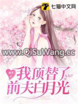 重生后我顶替了前夫白月光图片