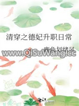清穿之德妃升职日常图片