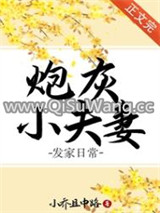 炮灰小夫妻发家日常图片