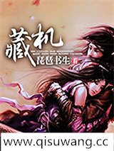 藏机图片
