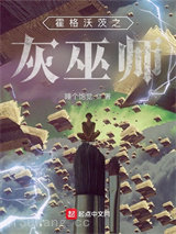 霍格沃茨之灰巫师图片