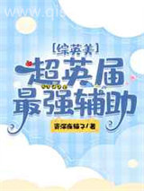 超英界最强辅助图片