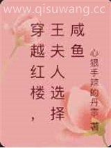穿越红楼，王夫人选择咸鱼图片