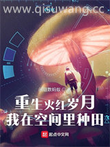 重生火红岁月，我在空间里种田图片
