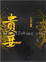 贵妾图片