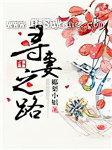 寻妻之路图片